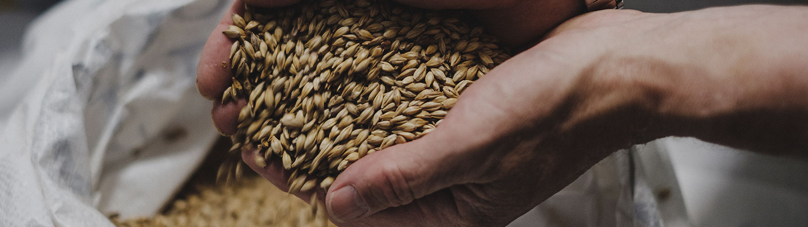 HW32by9-BreweryTour-fullwidth